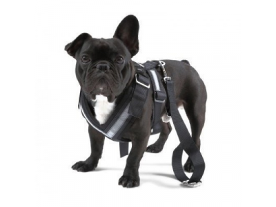 Ремень безопасности для собаки Skoda Dog Safety Belt, размер XL от VAG Ремень безопасности для собаки Skoda Dog Safety Belt, размер XL