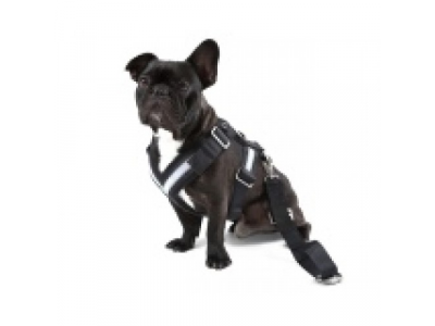 Ремень безопасности для собаки Skoda Dog Safety Belt, размер XL от VAG Ремень безопасности для собаки Skoda Dog Safety Belt, размер XL